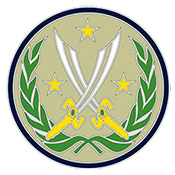 Army Element Combined Joint Force Operation Inherent Resolve CSIB
